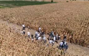 PT Farm apuesta a Expoagro 2026 como vidriera de su plataforma de articulación sectorial