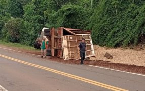 Siniestro vial: Camión despistó sobre la Ruta Nacional Nº 12 en el Municipio misionero de Puerto Piray
