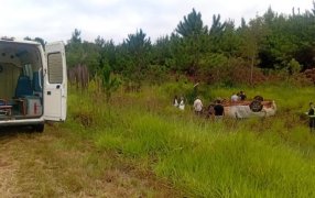 Misiones: Despiste y vuelco sobre la Ruta Provincial N° 103, a unos 500 metros del acceso al Parque Temático en el Municipio de Santa Ana