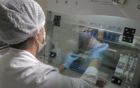 El Hospital Dr. Ramón Madariaga y el Instituto Misionero del Cáncer se suma al “Noviembre Azul” para promover la detección temprana del cáncer de próstata