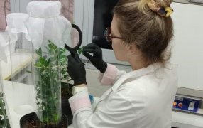 Del laboratorio a la empresa de biotecnología, un camino desafiante y de reaprendizajes