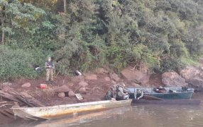 Misiones: La Prefectura Naval Argentina rescató a cuatro personas tras frustrar un intento de contrabando de un equino