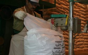 Las exportaciones de yerba mate alcanzaron un récord histórico al cierre del mes de Octubre 2025