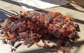 Desarticularon en la ciudad de Posadas una red delictiva dedicada al robo y reducción de cables: Son tres los detenidos y más de 500 kilos de cobre secuestrados