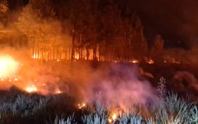 Incendio de malezas en el Municipio misionero de Santa Ana, afectó una superficie aproximada de 200 metros