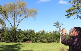 Cerdá: "El INYM tiene un enorme potencial para avanzar con yerbales agroecológicos"