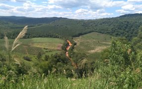 "La Selva está gravemente herida, señor Ministro"