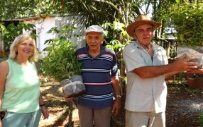 Apóstoles: En el marco del Programa Pro Leña, se hizo entrega de plantines de eucaliptus, fueron beneficiados 38 productores del Municipio