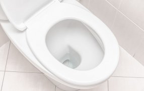 Día Internacional del Inodoro: En Argentina hay seis millones de personas que no tienen baño