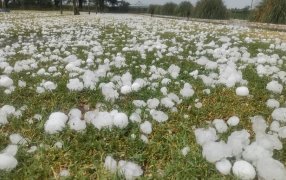 No solo sequía: Nación homologó la emergencia de otras dos provincias por granizo, heladas y entre ellas, Misiones