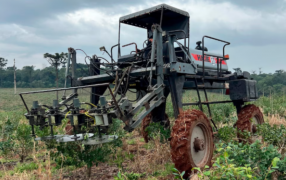 El empleo privado en la provincia de Misiones crece 1,8% en el mes de Junio, impulsado por el agro con leve aumento salarial y dinamismo en varios sectores y lidera la recuperación en Argentina
