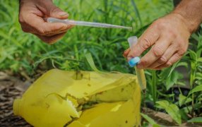 Posadas: Intensifican las tareas de prevención contra el Dengue