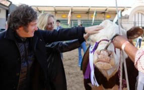 Este sábado, el Presidente Javier Milei visitará La Rural y hay expectativas por una baja de retenciones al sector cárnico