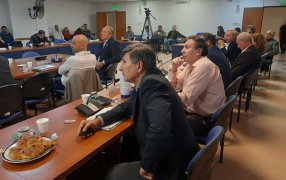 El INYM brindó un detallado panorama del sector yerbatero en la Cámara de Diputados de la Nación