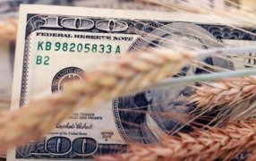 Argentina ya sufre la pérdida de dólares: la liquidación de Enero fue la más baja desde 2006