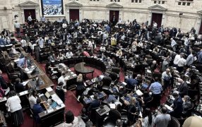 Ley "Bases": El Presidente publicó una lista de Diputados a los que calificó de "traidores"