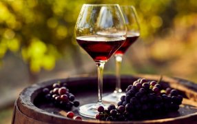 “No funcionó”: La cadena del vino pide cambios en el "dólar agro"