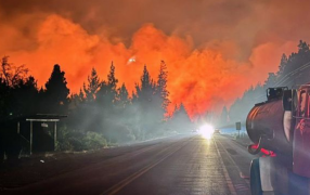 Incendios sin control en El Bolsón: “Se está quemando todo”, alertó el intendente