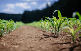 Posadas: Se reunirán para constituir la Mesa Agroalimentaria y potenciar la economía local