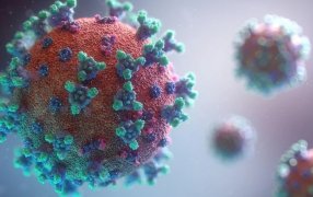 Cuáles son las 3 variantes de Ómicron que son resistentes a los anticuerpos y alertan a los expertos