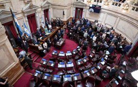 Sin la oposición: El Senado aprobó el Presupuesto 2023, prevé un gasto global de casi 29 billones de pesos y un déficit fiscal de 1,9%