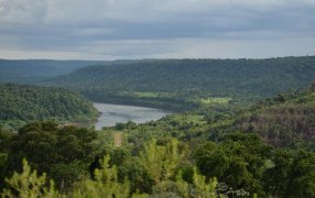 5 de Junio, Día Mundial del Medio Ambiente: Mundo de transiciones