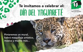 Vida Silvestre invita a celebrar el Día Internacional y Provincial del Yaguareté en la ciudad de Puerto Iguazú