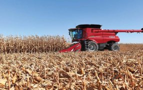 Lento avance en la recolección del maíz, se ha cosechado poco más del 65% del grano con destino comercial a nivel nacional