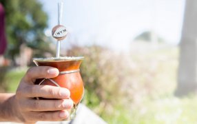 Las ventas de yerba mate alcanzaron los 24,5 millones durante el mes de Enero, a salida de molinos alcanzó la cifra de 24.536.466 kilos y fue lo mejor de la década
