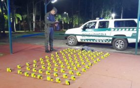 Gendarmería Nacional secuestró frascos que contenían ketamina en zona de frontera