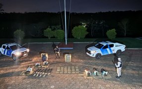 Prefectura Naval Argentina secuestró casi cien kilos de droga en la ciudad misionera de Puerto Iguazú