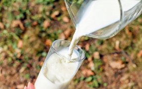 Nutrición: Desarrollan un nuevo producto lácteo fortificado con calcio