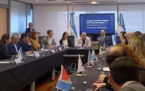 Misiones solicitó la continuidad del Programa Intercosecha en la 126° reunión del Consejo Federal del Trabajo