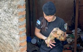 Oberá: Rescataron a una cachorra atrapada en un tanque, que estaba deshidratado y sospechan que pedían recompensa para devolverla