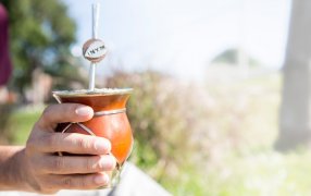 Cada 30 de Noviembre: El mate, la más argentina de las tradiciones, celebra su día