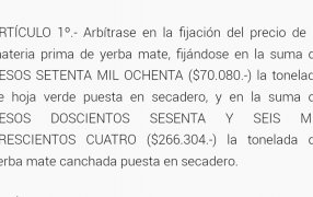 Nación fijó los nuevos valores para la Yerba Mate