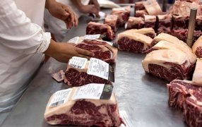 Confirman récord en exportaciones de carne vacuna durante Febrero