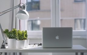 El auge del Home Office: Claves para un espacio de trabajo productivo en casa