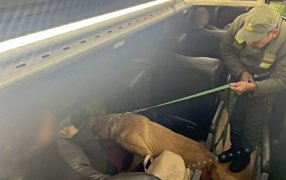 Pasajera trasladaba cocaína adosada a su cuerpo: La mujer viajaba como pasajera sobre un transporte público de media distancia
