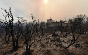 Emergencia en Chubut: Parque Los Alerces: El incendio avanza hacia Esquel y hay evacuados cerca del Río Percy