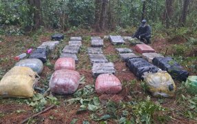 Gendarmería Nacional secuestró más de media tonelada de marihuana: El estupefaciente se encontraba acopiado en una zona montuosa de difícil acceso