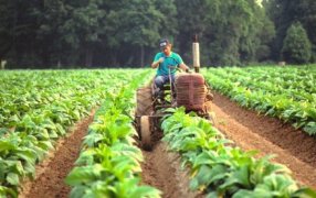 Misiones: Los meses de Septiembre y Octubre muestran un leve cambio de tendencia con recuperación de la economía provincial