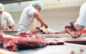 Afirman que con el cuarteo habrá un 20% más de eficiencia en la cadena de la carne
