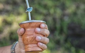 Las ventas de yerba mate superaron los 76 millones de kilos el primer trimestre