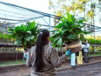 La Biofábrica Misiones co