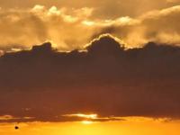 De “Niña Débil” a “Neutra