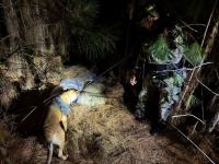 En operativos realizados 