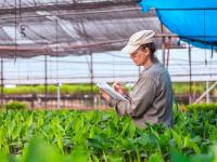 Biofábrica Misiones: Más 