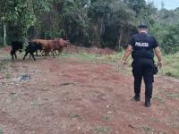 La Policía de Misiones ev