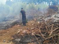 Leandro N. Alem: Controla